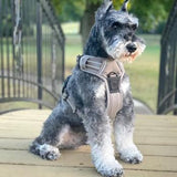 Venture Paw Pull Control Dog Harness Dried Sage