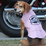 Biker Dawg Motorcycle Jacket - Pink