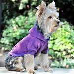 Flex-Fit Dog Hoodie - Purple