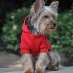 Flex Fit Dog Hoodie
