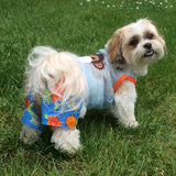 The Lahaina Designer Collection-Belly Boxer Shorts