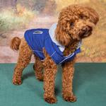 Weekender Dog Sweatshirt Hoodie - Royal Blue