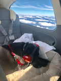 Noise Reducing Headsets for Dogs!