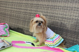 Ice Cream Cart Dress with Matching Leash
