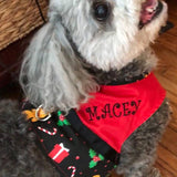 Gingerbread Fabric Harness with Matching Leash