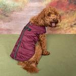 Zip-Up Dog Puffer Vest - Burgandy