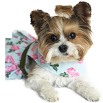 Pink Rose Harness Dress with Matching Leash