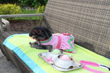 Watermelon Dog Dress!