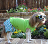 Blue Seersucker Plaid Belly Boxer Shorts for Dogs