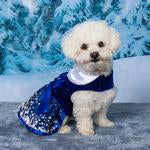 Holiday Dog Harness Dress - Snowflakes