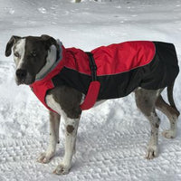 Alpine All Weather Coat  - Red and Black