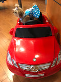 Blue Polka Dot Dog Dress with Matching Leash