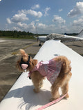 Noise Reducing Headsets for Dogs!