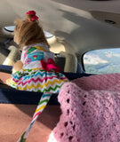 Ice Cream Cart Dress with Matching Leash