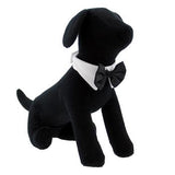 Black Satin Dog Bow Tie and Collar