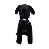 Black Satin Dog Bow Tie and Collar