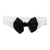 Black Satin Dog Bow Tie and Collar