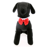 Bow Tie Collar Set