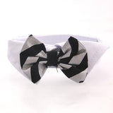 Bow Tie Collar Set