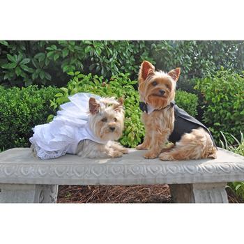 Doggie Wedding Harness Dress Set