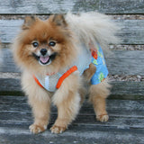 The Lahaina Designer Collection-Belly Boxer Shorts