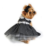 Polka Dot Dog Dress with Matching Leash