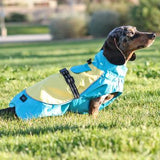 Doggie Raincoat Body Wrap - Blue and Yellow