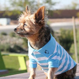 Striped Doggie Polo - Blue Niagara and White