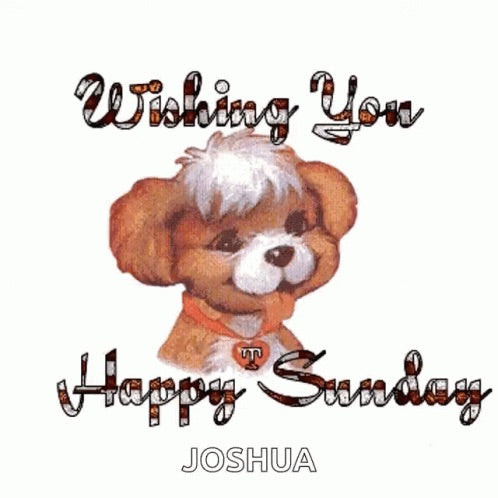 Happy Sunday everyone!