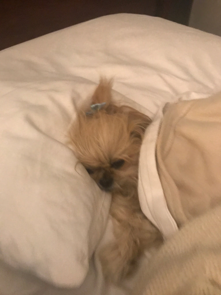 Do NOT disturb!