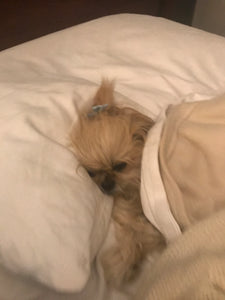 Do NOT disturb!