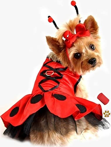 Call me LADY BUG!