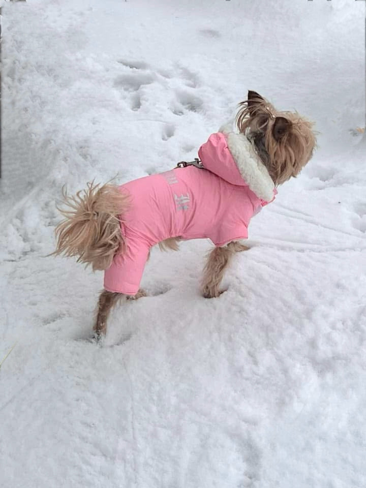 Ellie loves her new snowsuit!