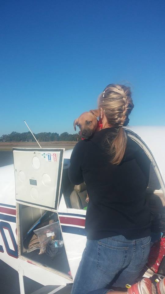 Pilots N Paws Freedom Flight Today!