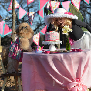 Adorable dresses for Tea Parties have arrived!