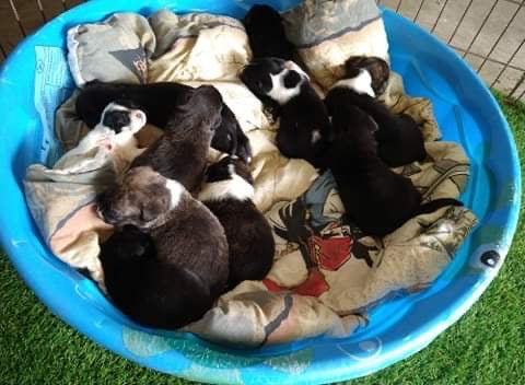 Check out our passengers!