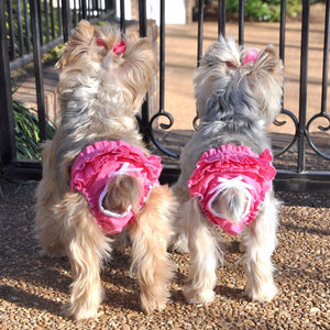 Ruffled panties!!