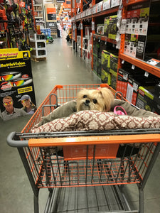 Shopping!