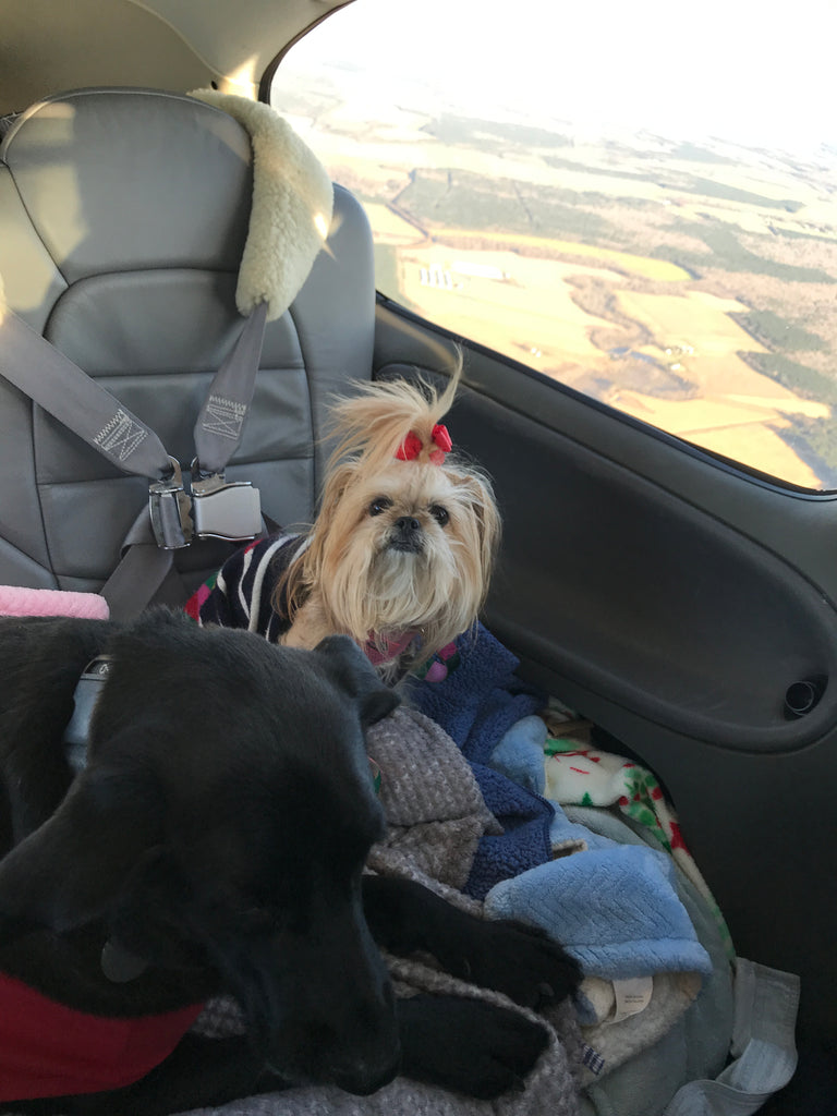 Headed to Charleston