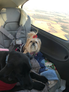 Headed to Charleston