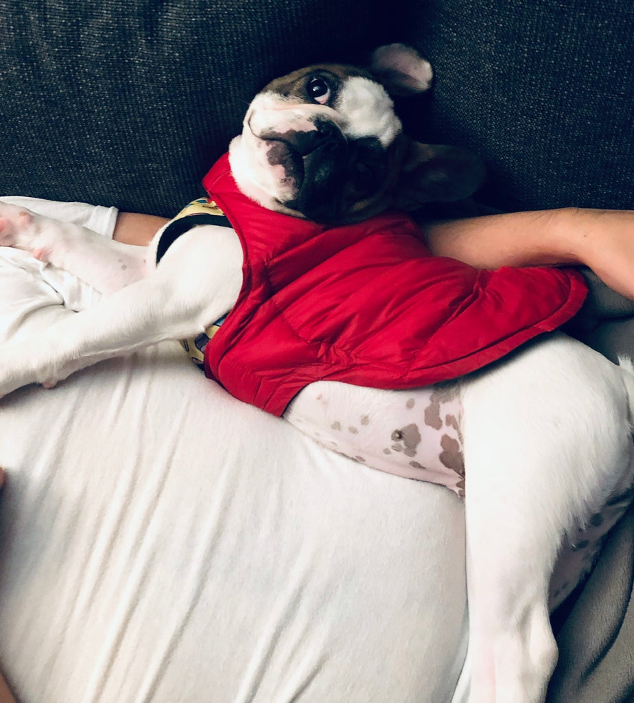 Sophia’
