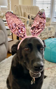 Scarlett LOVES her bling bunny ears.