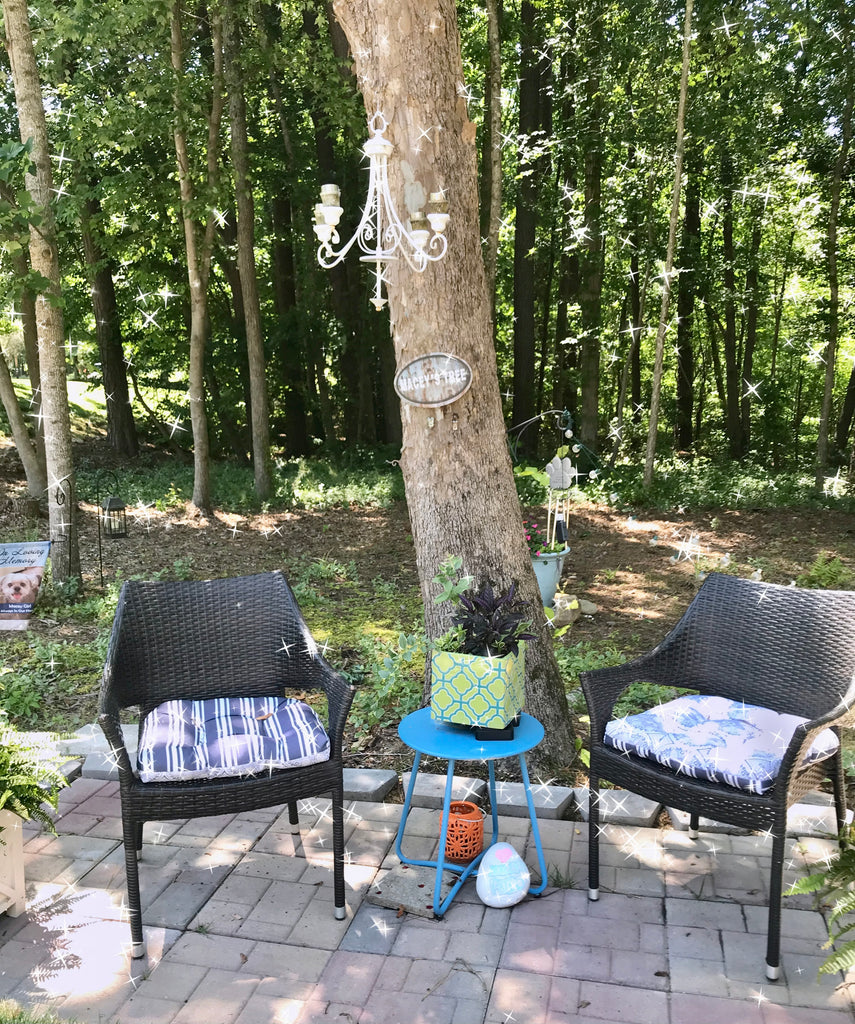 Macey’s Garden