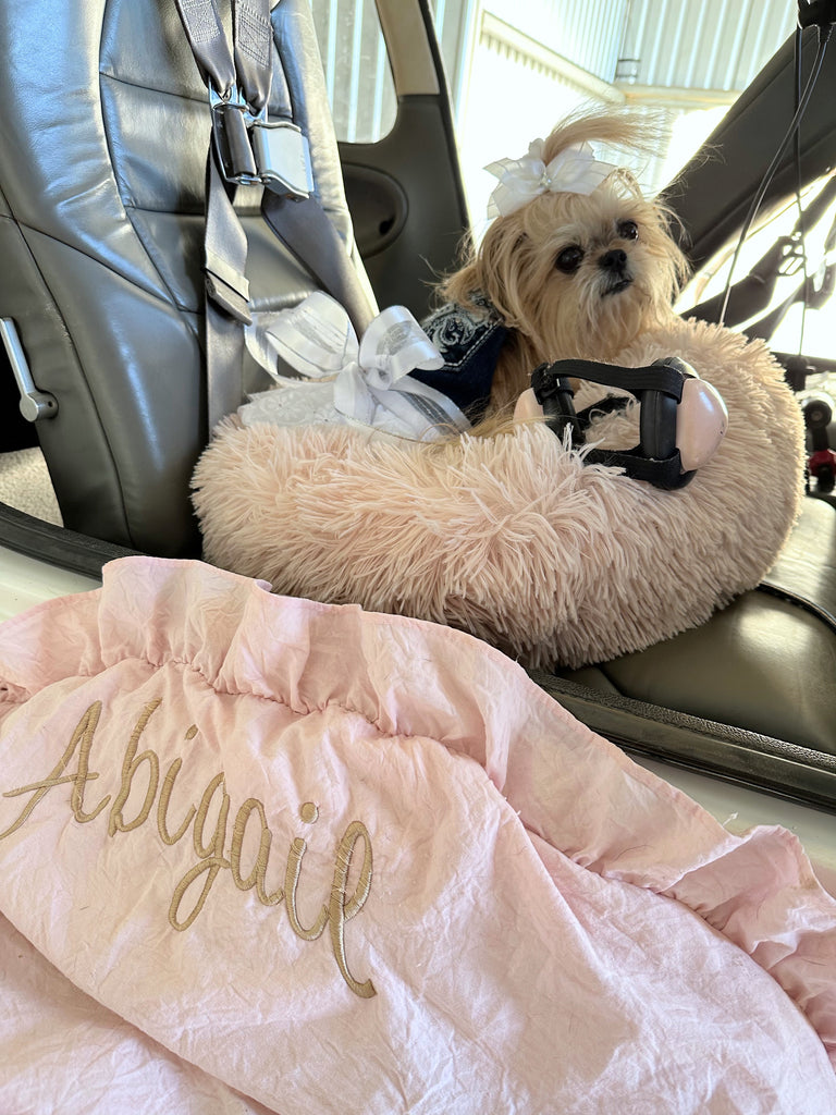 When Daddy asks….who wants to go to the airport?