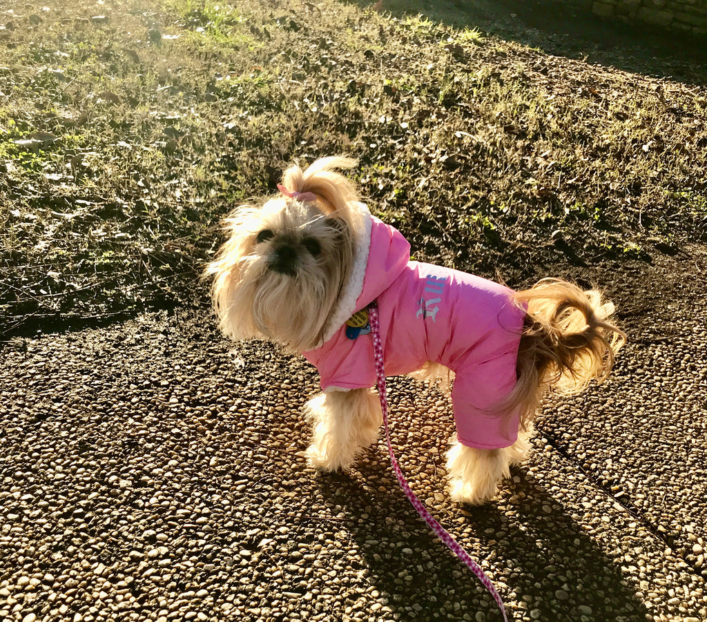 Snowsuits are a must!