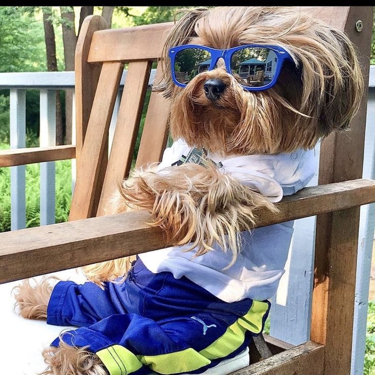 Happy Monday!