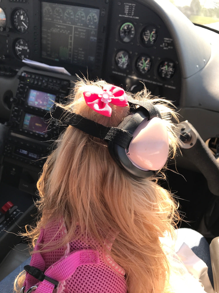 Flying RESCUE dogs TOMORROW!✈️🐾🐾