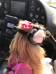 Flying RESCUE dogs TOMORROW!✈️🐾🐾