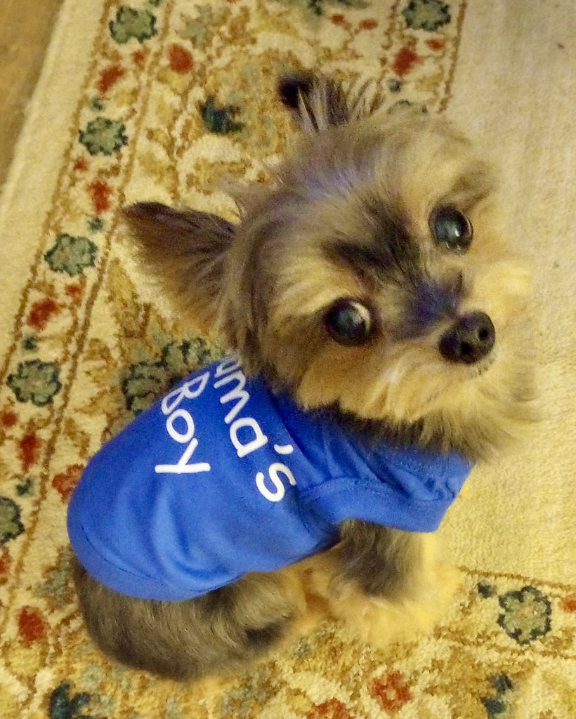 The Shirt That Made Reagan Feel 10 Feet Tall (Now Available at Gate Nine!)