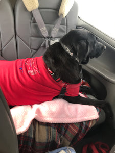 Scarlett takes up two seats in the plane!!!